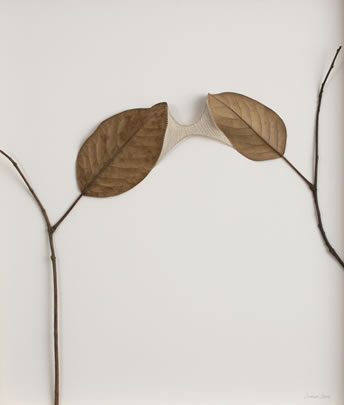 Arc Suzanna Bauer art exhibited at Lemon Street Gallery
