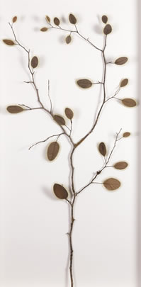Awakening Suzanna Bauer art exhibited at Lemon Street Gallery