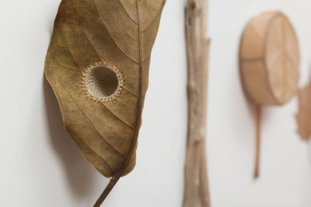 Collection Suzanna Bauer art exhibited at Lemon Street Gallery