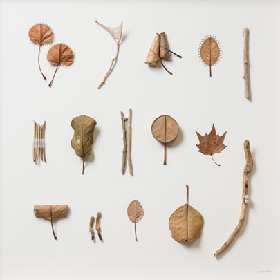 Collection Suzanna Bauer art exhibited at Lemon Street Gallery