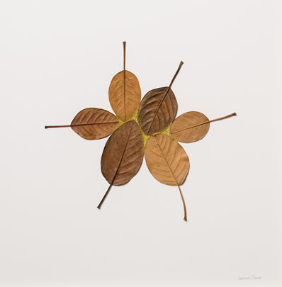 Common Ground Suzanna Bauer art exhibited at Lemon Street Gallery