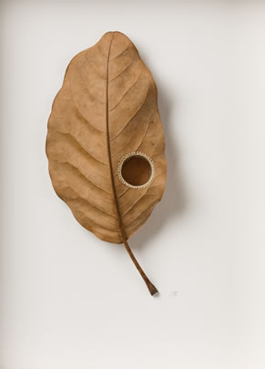 Core II Suzanna Bauer art exhibited at Lemon Street Gallery