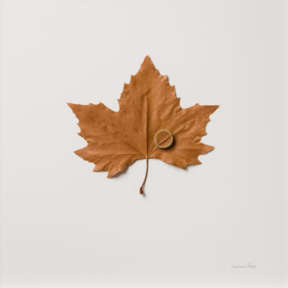 Heart Suzanna Bauer art exhibited at Lemon Street Gallery