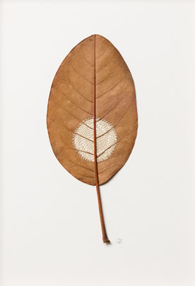 Moon Suzanna Bauer art exhibited at Lemon Street Gallery