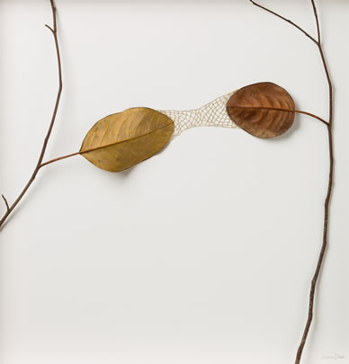 Reach Suzanna Bauer art exhibited at Lemon Street Gallery