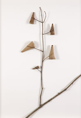 Rising Suzanna Bauer art exhibited at Lemon Street Gallery