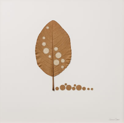 Ten Circles Suzanna Bauer art exhibited at Lemon Street Gallery