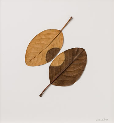 Trans Plant Suzanna Bauer art exhibited at Lemon Street Gallery