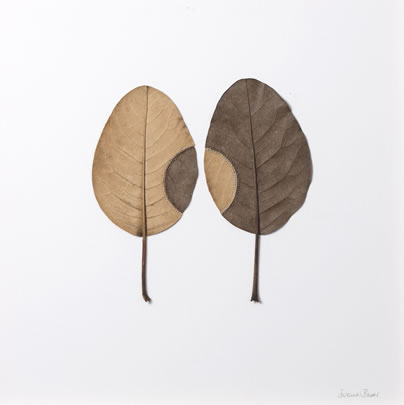 Trans Plant Suzanna Bauer art exhibited at Lemon Street Gallery