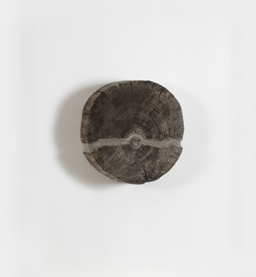 Trythall Suzanna Bauer art exhibited at Lemon Street Gallery