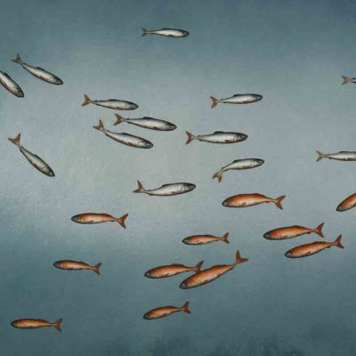 Donald Provan exhibition image