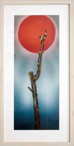 Barrie Cook for Lemon Street Gallery The Moon with Twig 2013