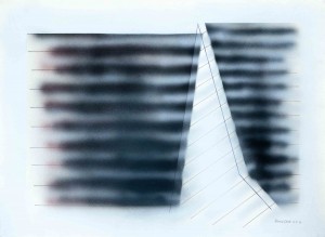 Barrie Cook for Lemon Street Gallery