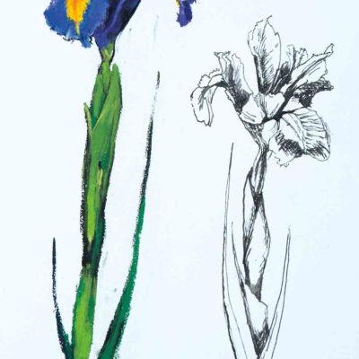 Barrie Cook for Lemon Street Gallery