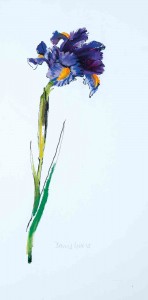 Barrie Cook for Lemon Street Gallery Iris 4, 2015