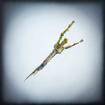 Barrie Cook for Lemon Street Gallery Angst, 2014