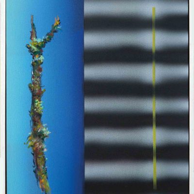 Barrie Cook for Lemon Street Gallery