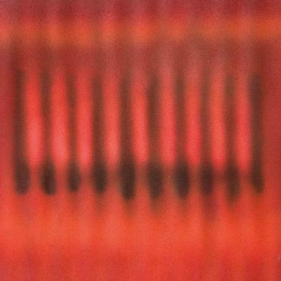 Barrie Cook for Lemon Street Gallery Seeing Red