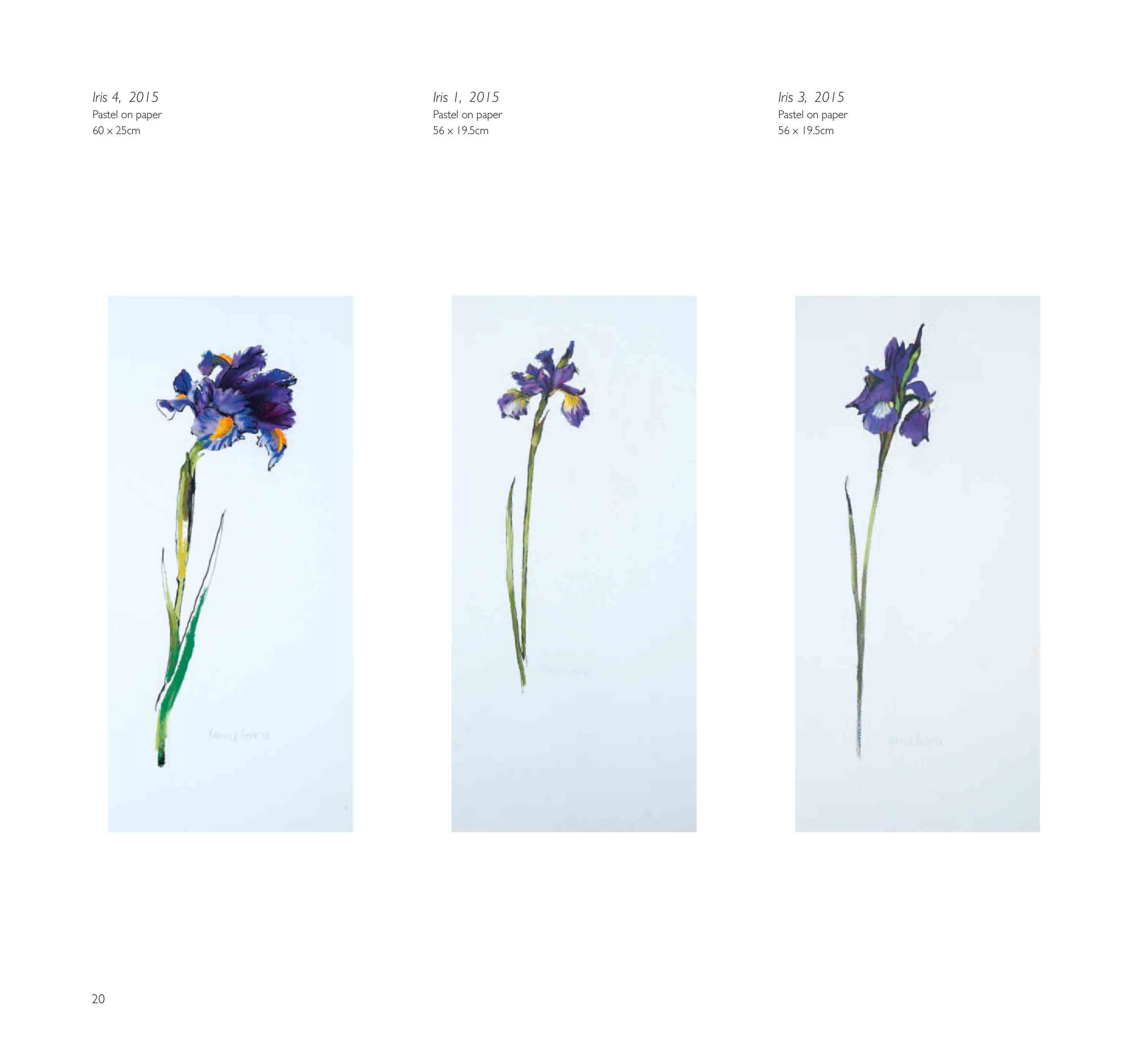 Barrie Cook publication page for Lemon Street Gallery