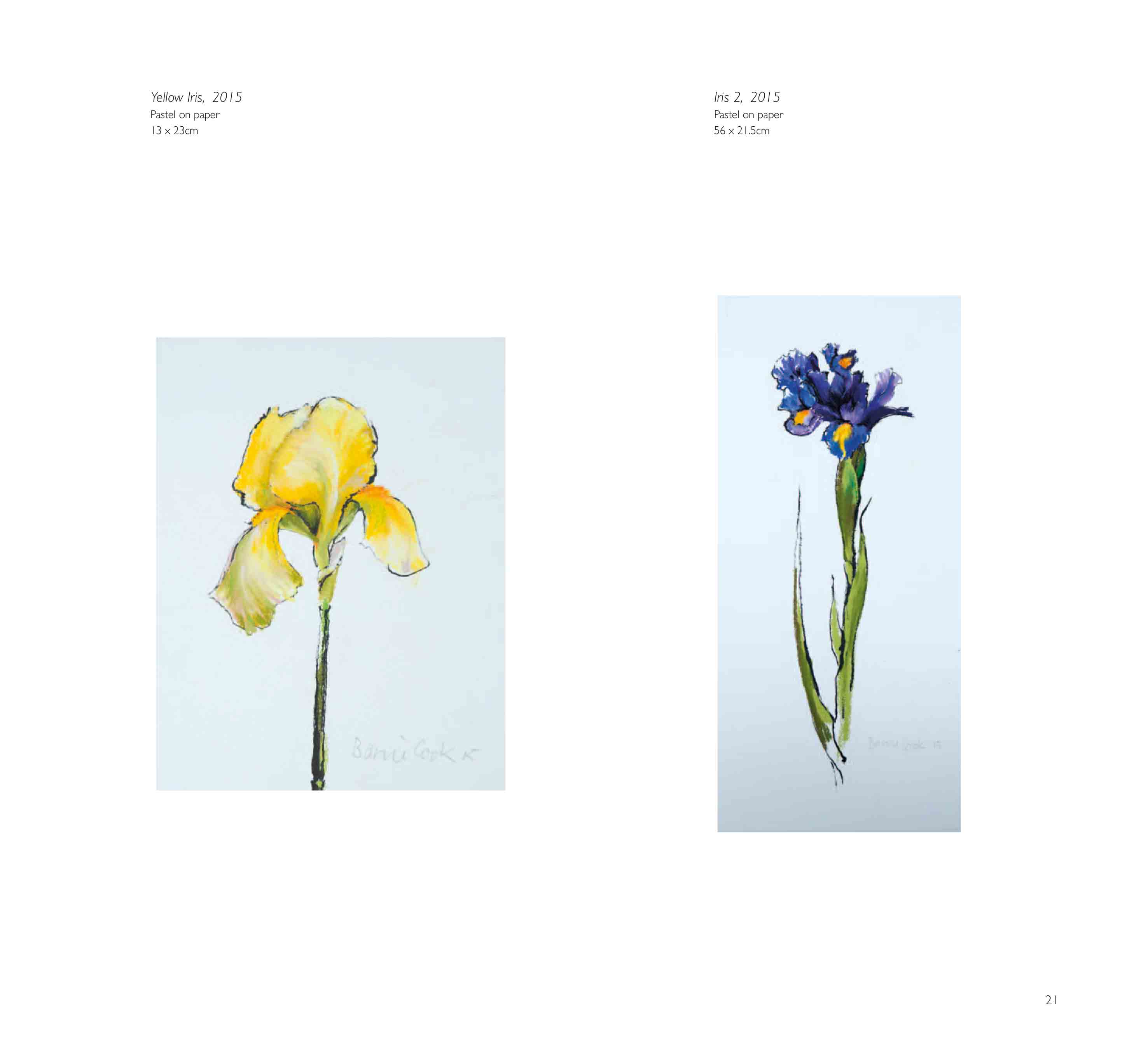 Barrie Cook publication page for Lemon Street Gallery