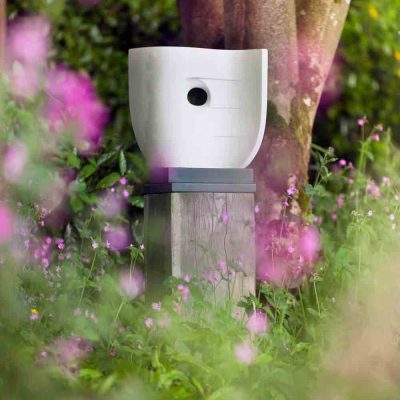 Sculpture at Withiel Garden, Cornwall from LSG