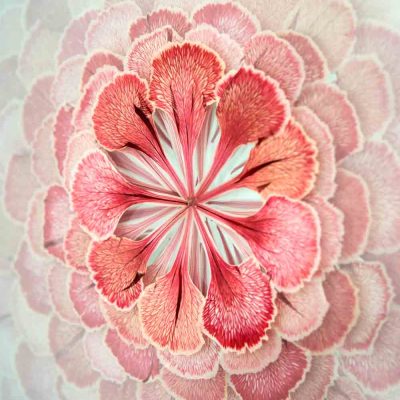 Sculpture at Withiel Garden, Cornwall from LSG