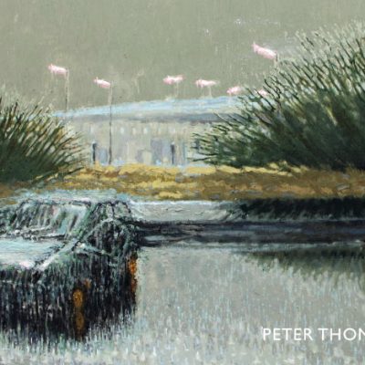 Peter Thomson Wild Observations of a Tamed Landscape publication front cover