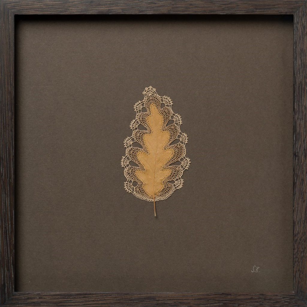 Susanna Bauer - Whisper lI, Magnolia leaf, cotton thread, 30x30cm
