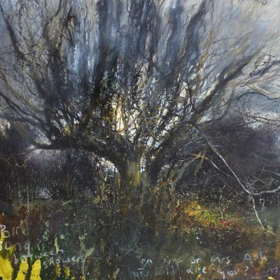 Kurt Jackson - Winter Sunshine in Harvey's Field,Cold Westerly Winds, A Flock of Golden Plover Flies Over With a Rush, A Magpie Calls, The Hawthorn Moves in the Wind. January 2005. Mixed Media,56x61cm. 4 .jpg