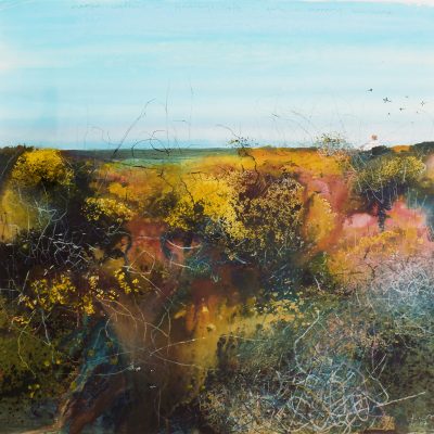 Kurt Jackson - Magpie Wedding in Harvey's Croft-Gorse and Morning Sunshine, March 2007. Mixed Media, 57x59cm.