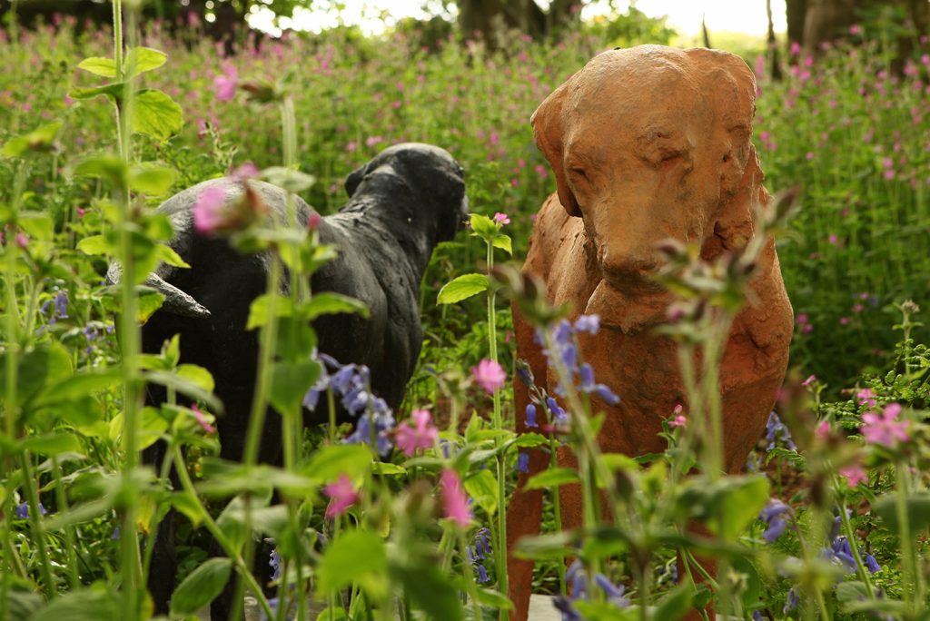 Withiel House Gardens